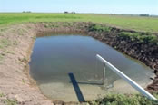 cattle_lagoon